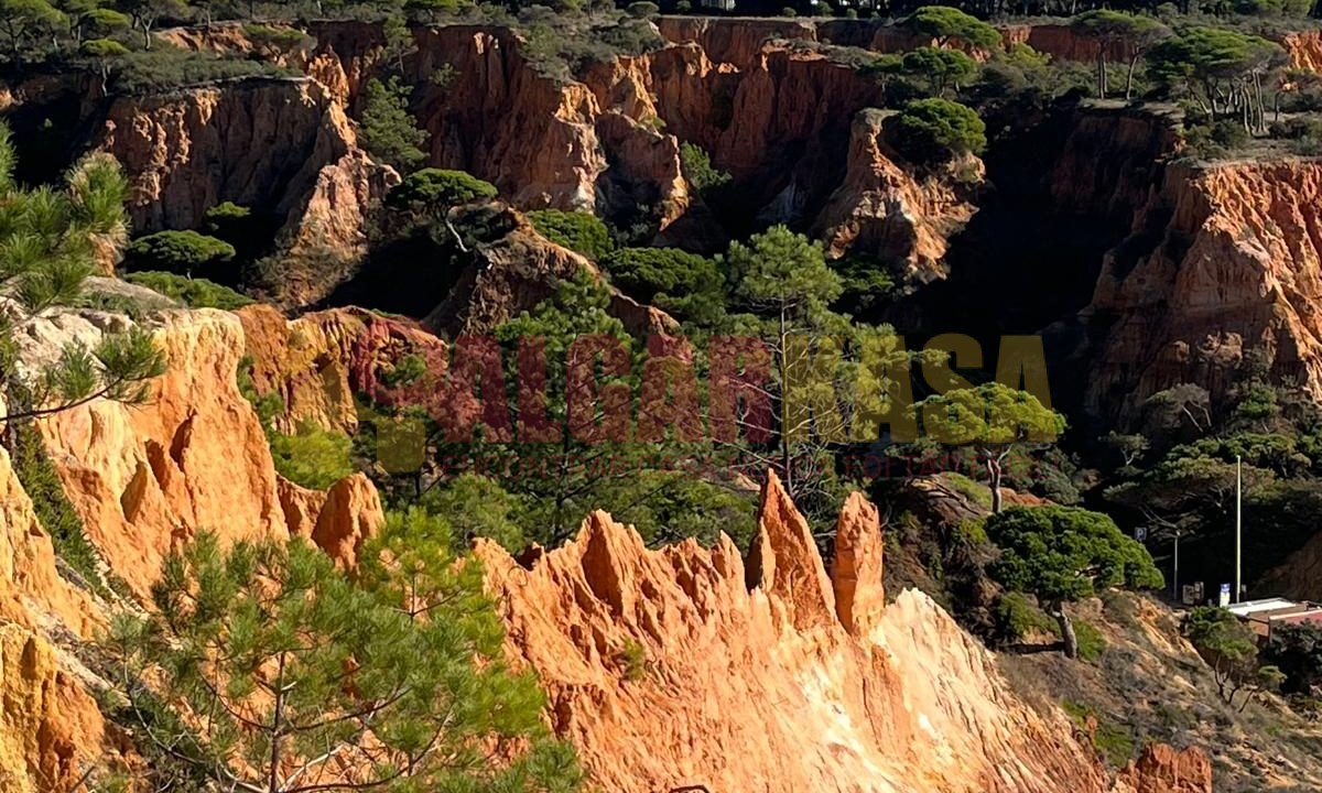 WhatsApp Image 2026-04-08 at 14.19.15