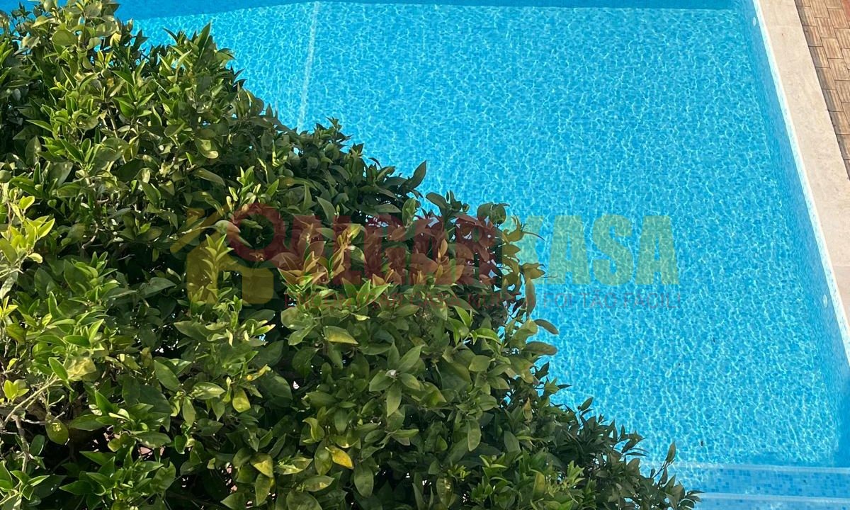 WhatsApp Image 2026-04-08 at 14.19.15 (4)