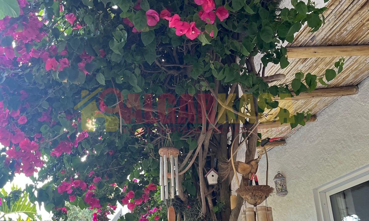 WhatsApp Image 2026-04-08 at 14.19.16 (1)