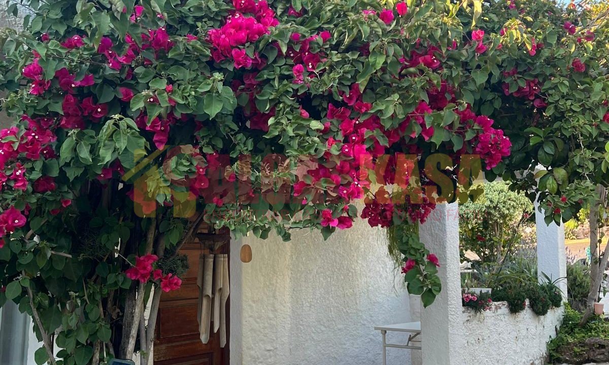 WhatsApp Image 2026-04-08 at 14.19.16 (2)